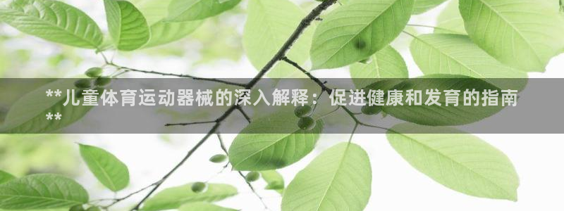 尊龙app登录不了