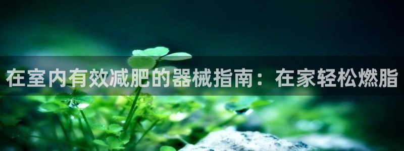 尊龙凯时logo：在室内有效减肥的器械指南：在家轻松