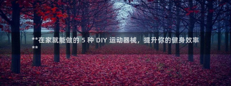 尊龙z6集团：**在家就能做的 5 种 DIY 运动